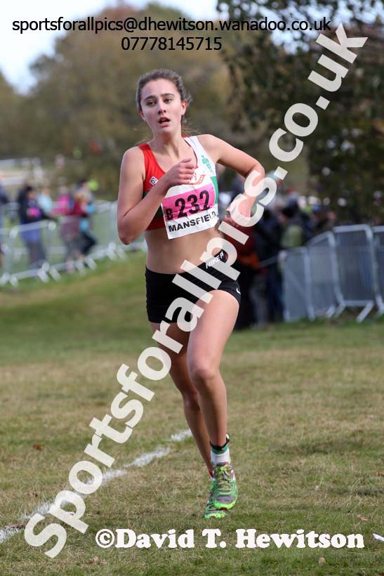Junior women, 2016 National Cross Cpuntry Relays, Berry Hill Park, Mansfield. Photo: David T. Hewitson/Sports for All Pics